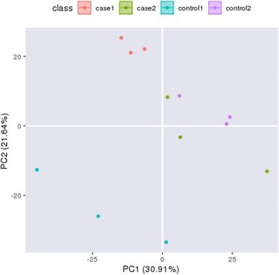 Physiological and muscle tissue responses in Litopenaeus vannamei under hypoxic stress via iTRAQ